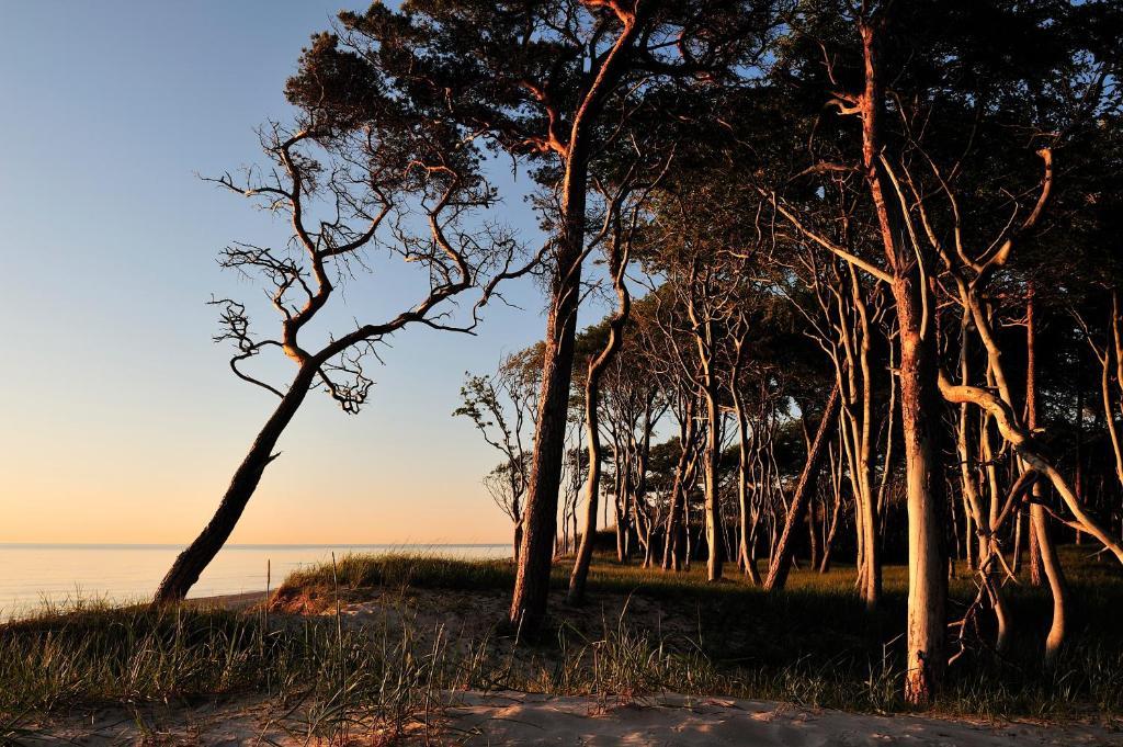 Hotel & Restaurant Seebruecke Zingst Pokój zdjęcie